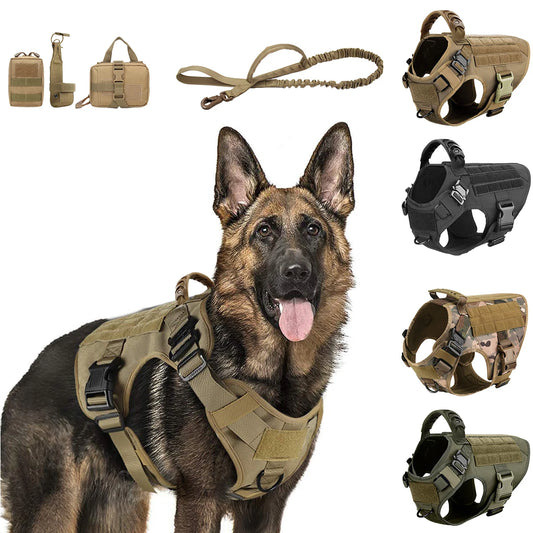PETRAVEL Dog Vest Harness And Leash Set For Training