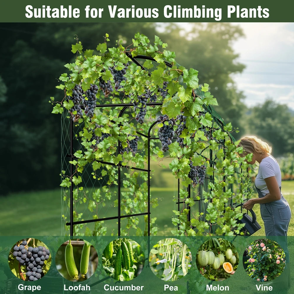 Wisfor U-Shaped Metal Garden Plant Trellis For Climbing Plants