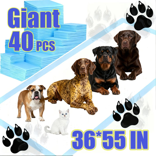 JUYHGV Best Value Dog Training Pads 40 Count Super Absorbent
