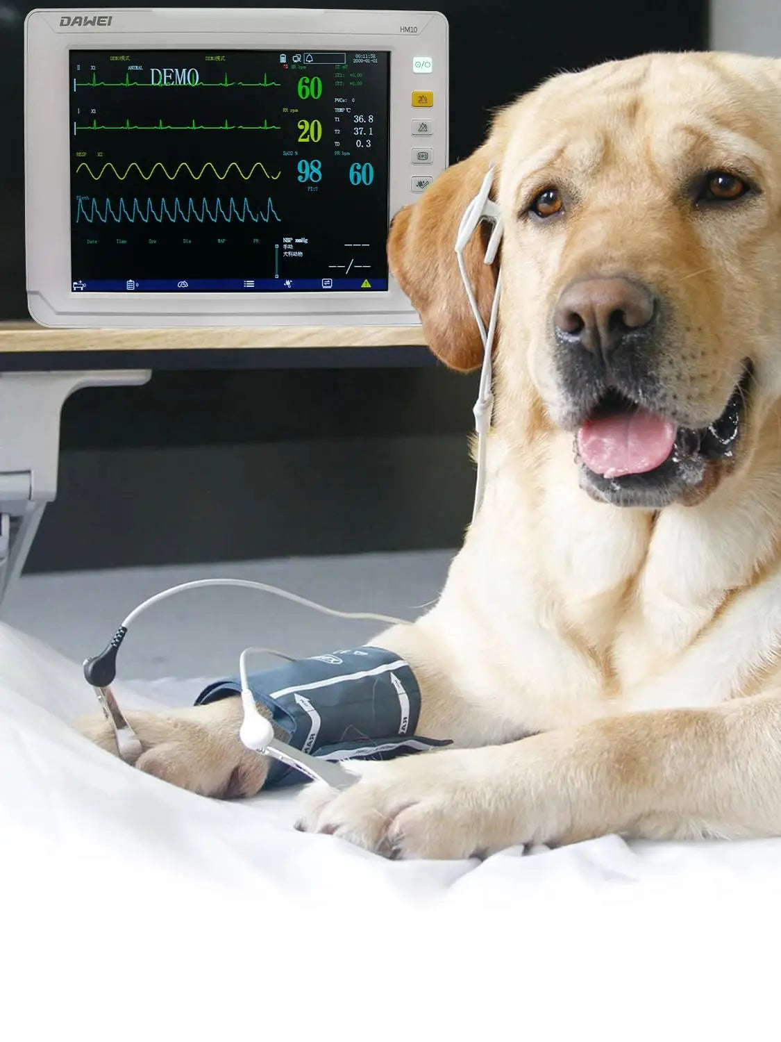 Dawei Portable Veterinary Monitor 6 Parameter With LCD Display For Pets