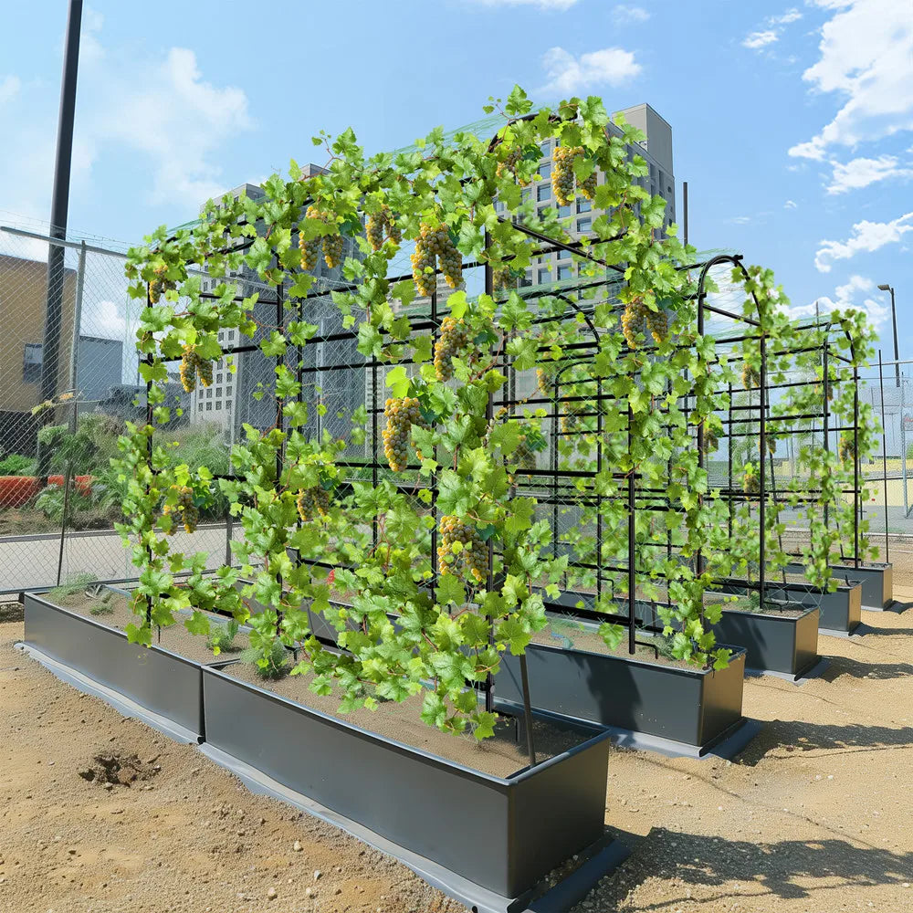 Wisfor U-Shaped Metal Garden Plant Trellis For Climbing Plants
